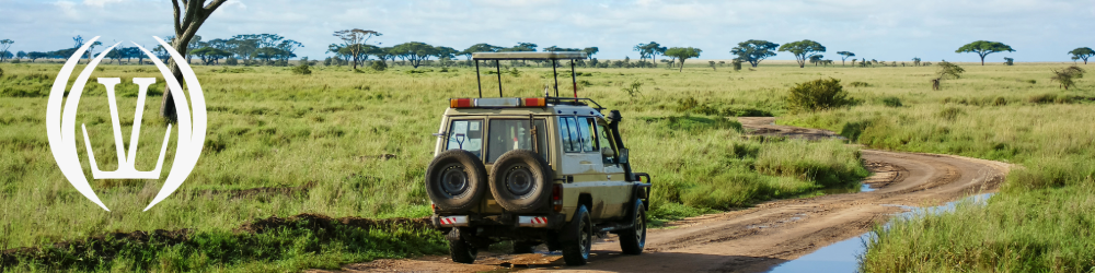 LLV Luxury Tanzania Safari Beach Xperience 1 9